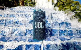 Jbl Grip Specs, Features, and Value: Is it worth the price tag?